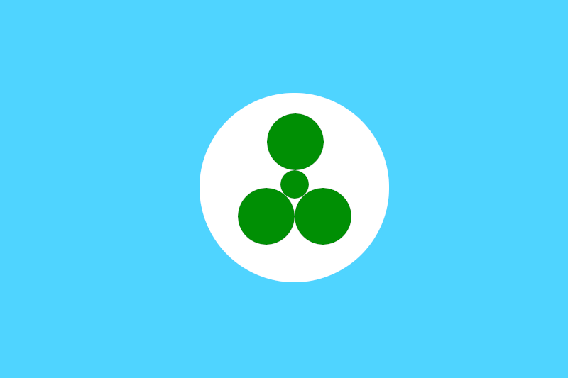File:Beenis island flag small.png