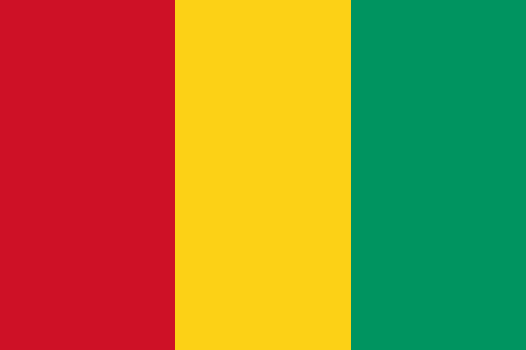 File:Guinea Flag.png