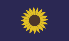 Kansas flag.png