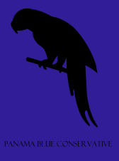 File:Conservativeflag.png