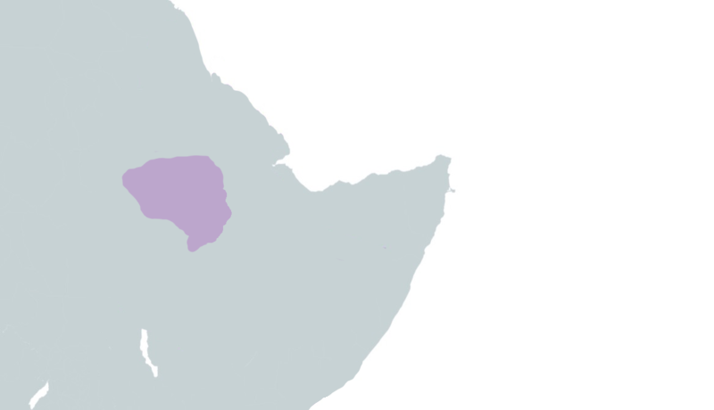 File:ETHICAR.png