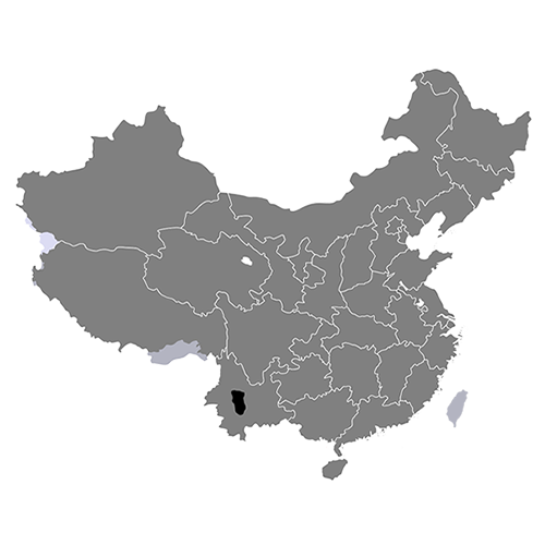 File:Territory of Dai.png