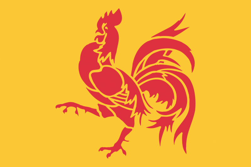 File:Drapeau officiel de la Wallonie.png