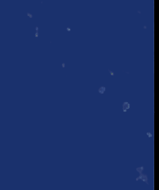 File:Screen Shot 2019-03-27 at 1.09.23 pm.png
