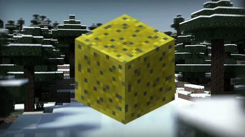 File:Sponges.webp