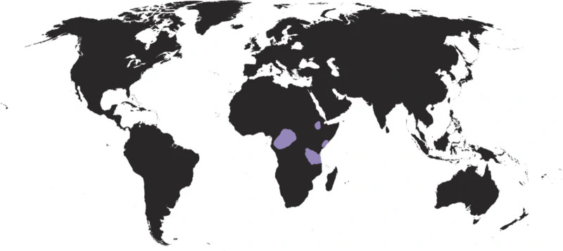 File:EthiopiaEmpireLand.png