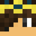 File:BurntArrowMC.png