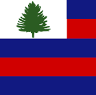 CT FLAG.png