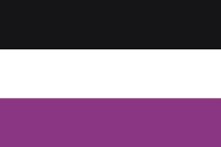 Pilsy Flag.png