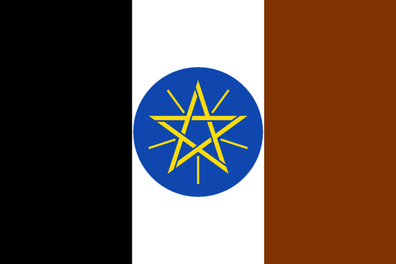 File:FlagOfMersaEthio.png