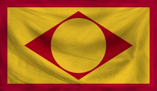 File:PSS Flag.jpg