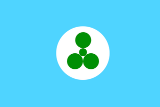 Beenis island flag small.png