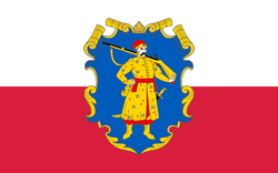 Kijowflag.png