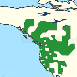 Cascadiamap.png