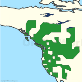 A large area of territory in Western North America, stretching from Baja California to the Great Bear Lake. It is dotted with numerous enclaves corresponding to many micronations.