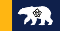 Alaska State Flag Proposal No 12 Designed By Stephen Richard Barlow 26 OCT 2014 at 0924hrs cst.png