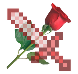 Rosey.webp