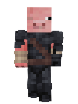 Pigportt.png