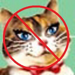 Avatar.jpg