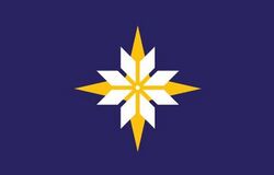 Minnesota Flag.jpeg