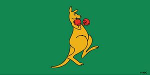 Boxing-Kangaroo-1.jpg