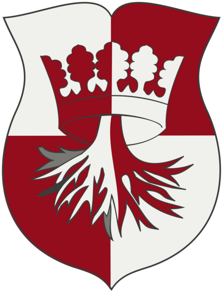 File:Coat of arms of the Brasov.png
