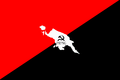 2000px-Anarchist flag.svg (1).png