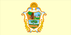 Bandeira de Manaus.svg.png