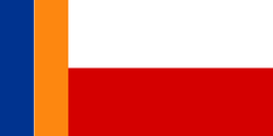 Flagofzaborov.png.png