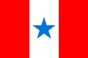 1000px-Bandeira do Pará (variante).svg.png