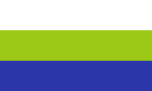 Flag of Yap.png