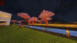 Coppertree2.webp
