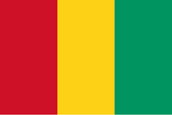 GuineaFlag.webp