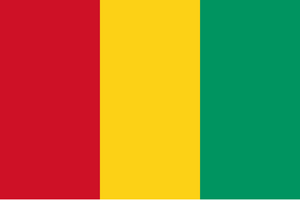 GuineaFlag.webp