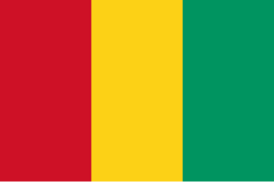 Guinean flag.png