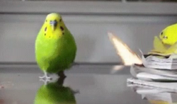 Screenshot (235).png