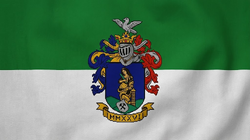 Flag of ajka.png