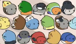 Screenshot (234).png