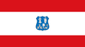 1280px-Flag of Asunción.svg.png