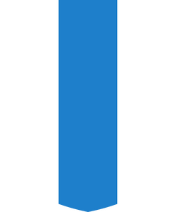 SGSSICOA.png