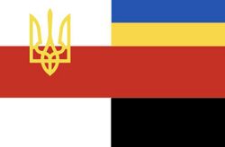 Unofficial White Ruthenia flag kotik 2ua.jpg
