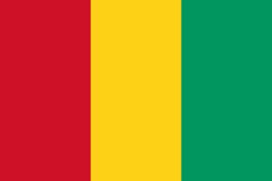 GuineaEMC.jpg