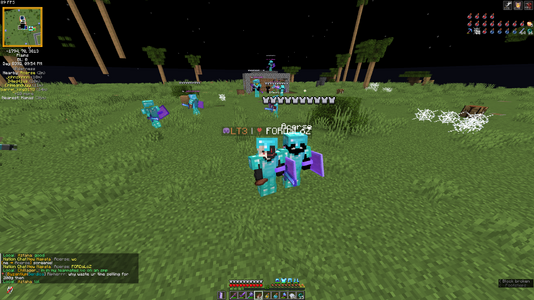 Screenshot of FORDaLoZ and Acerse mid-battle.