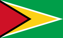 Flag of Guyana.svg.png