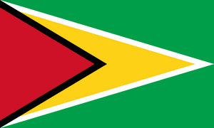 Flag of Guyana.svg.png