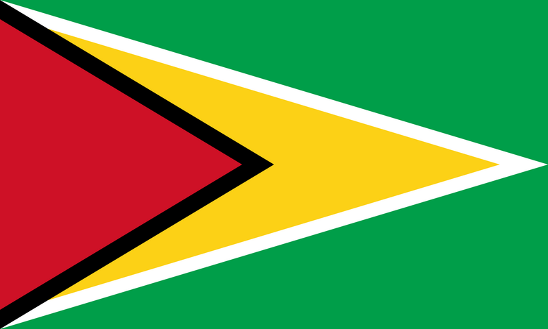 File:Flag of Guyana.svg.png