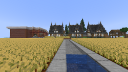 OlympiaWheatFields.webp