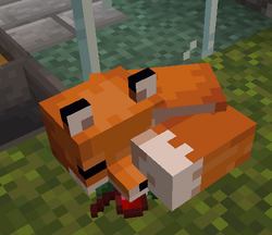Fox.png