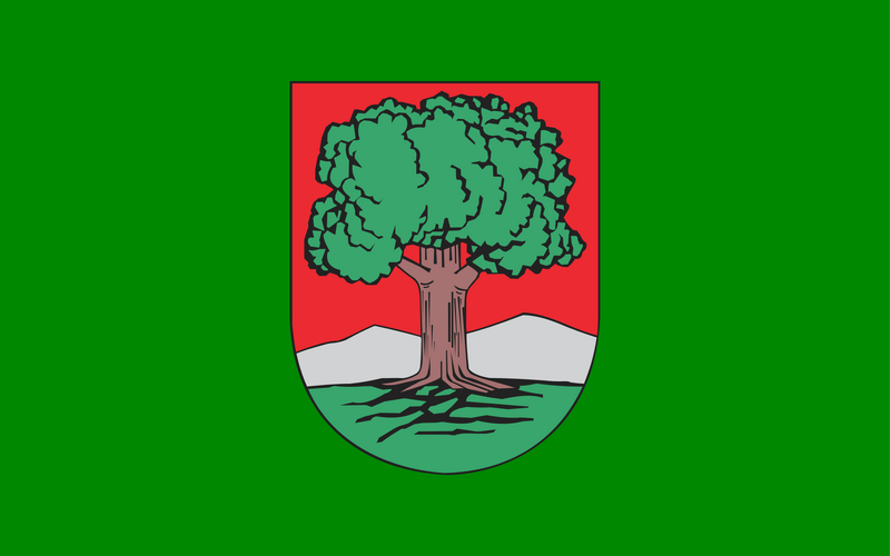 File:Flag of Wałbrzych.png