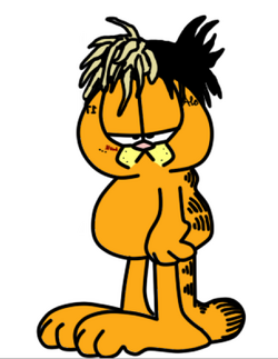 XXXfield.png